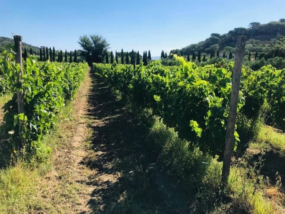 Tenuta Santa Caterina Portoferraio Buitenkant foto