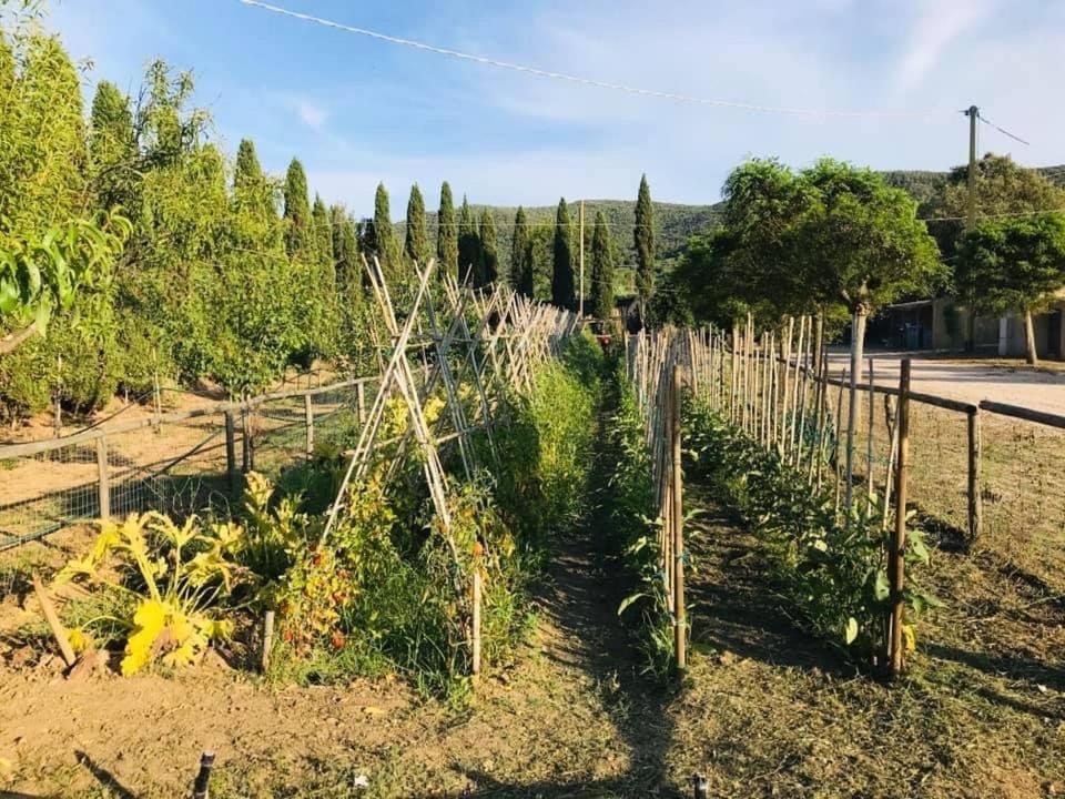 Tenuta Santa Caterina Portoferraio Buitenkant foto