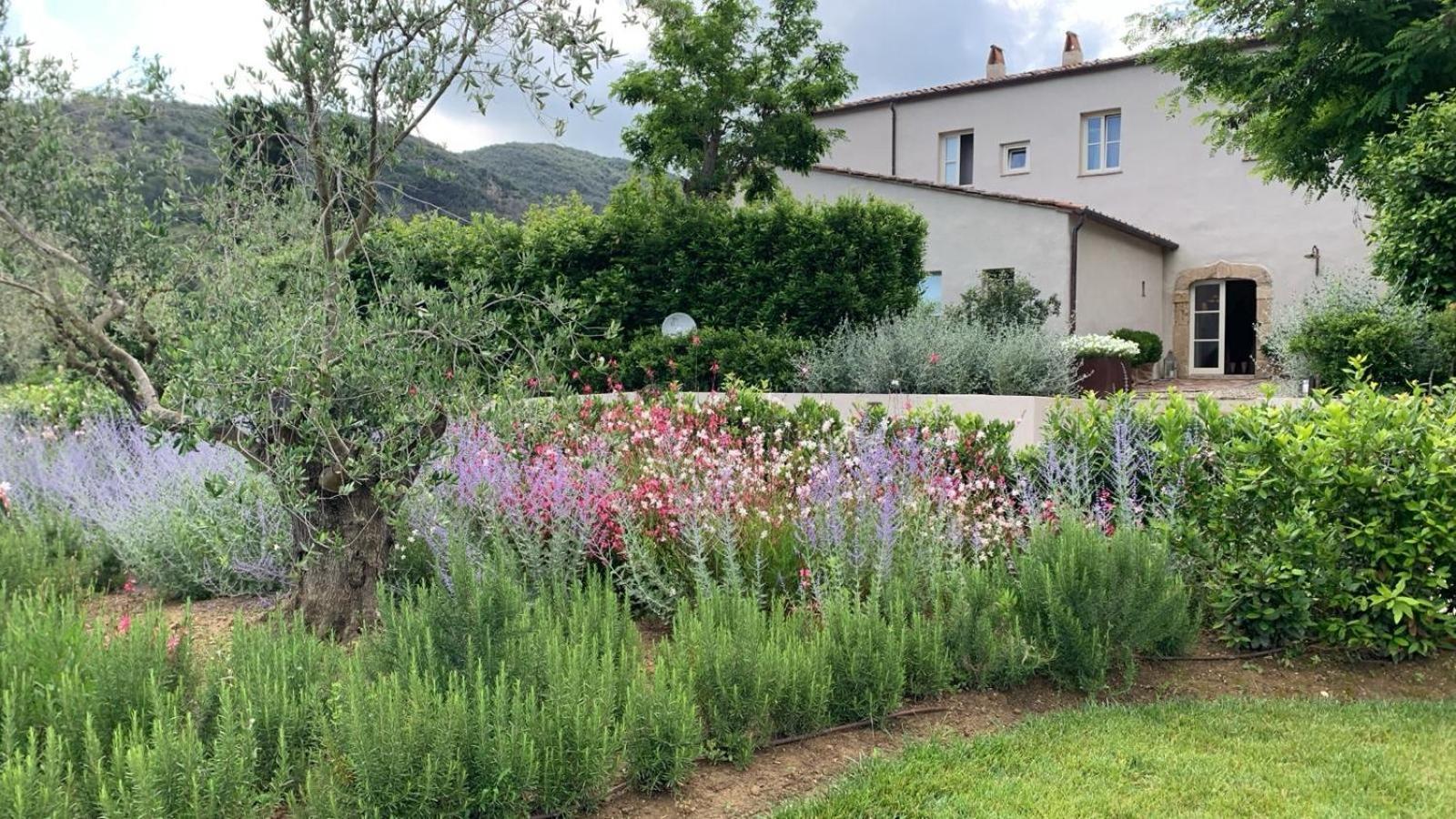 Tenuta Santa Caterina Portoferraio Buitenkant foto