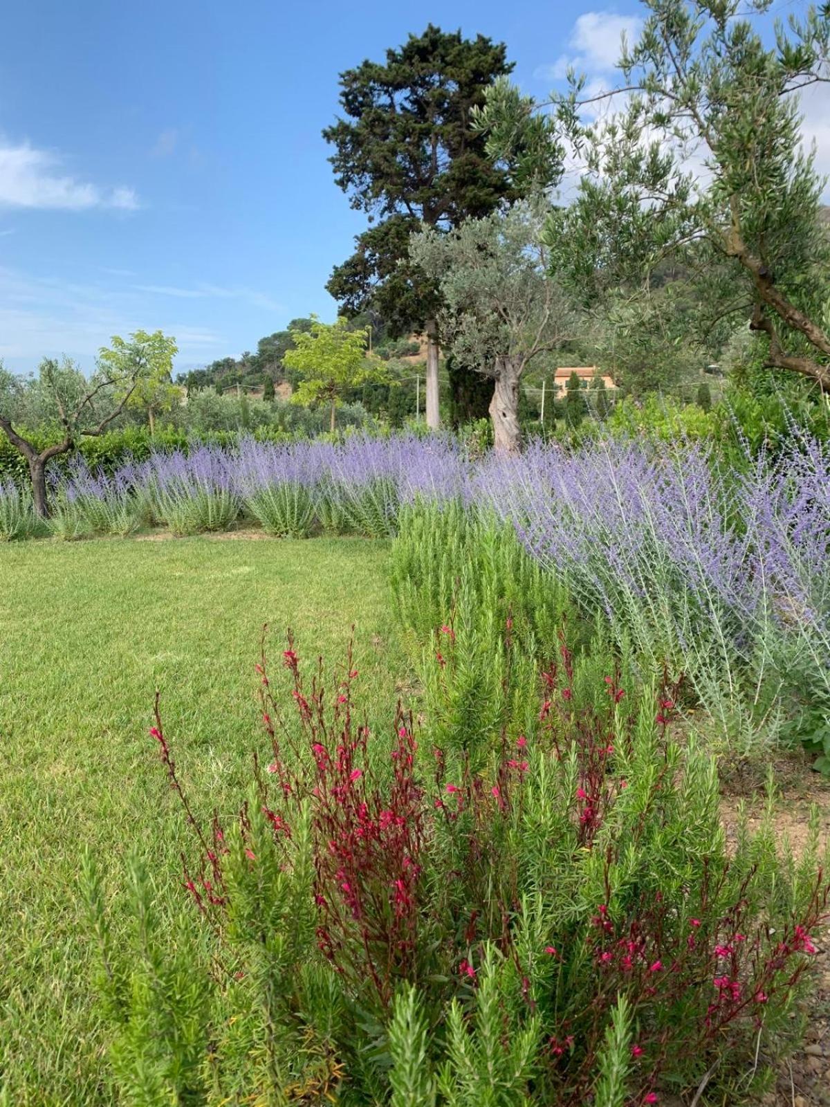 Tenuta Santa Caterina Portoferraio Buitenkant foto