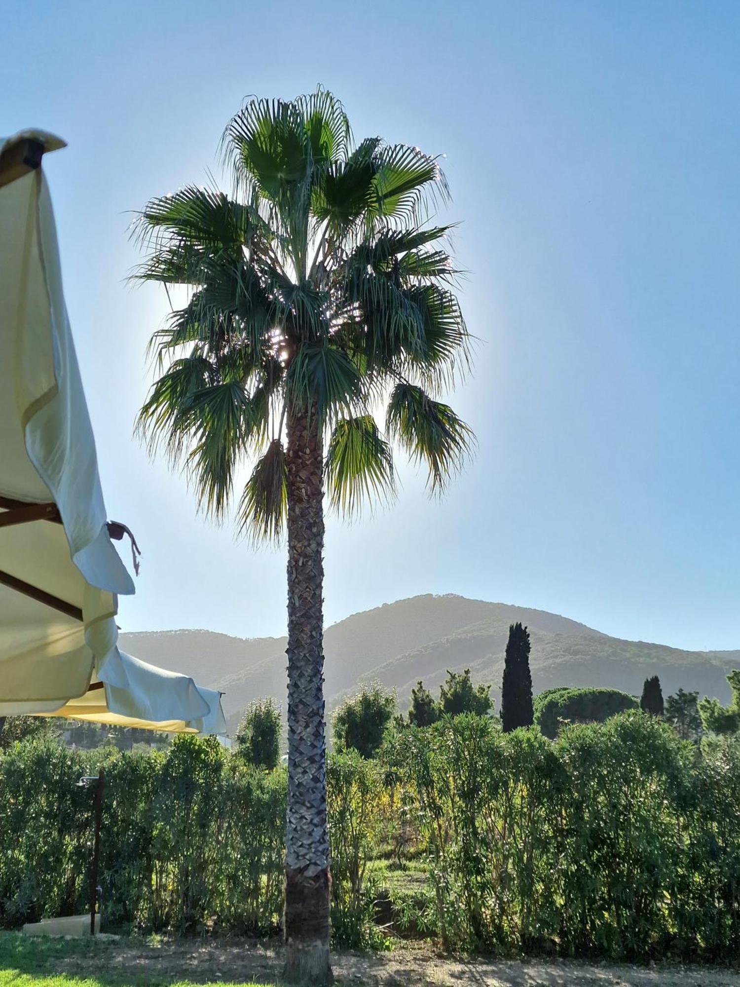 Tenuta Santa Caterina Portoferraio Buitenkant foto